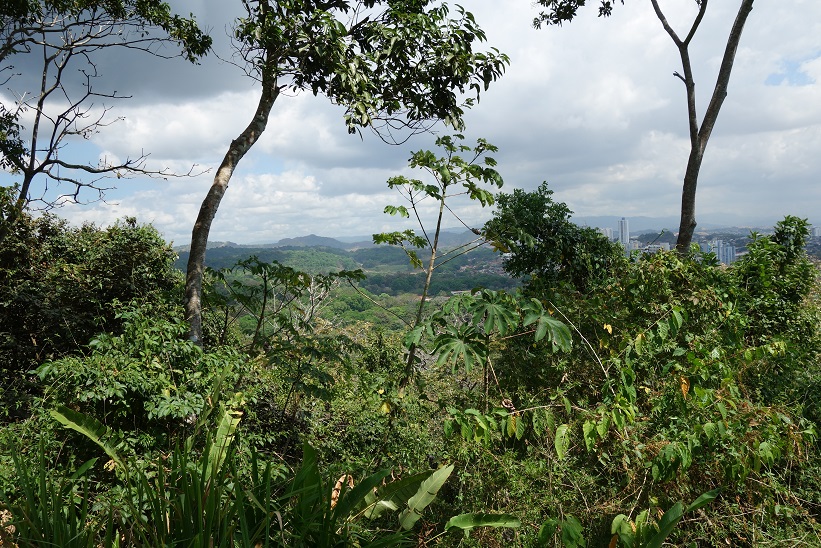 Parque Natural Metropolitano, Panama city.