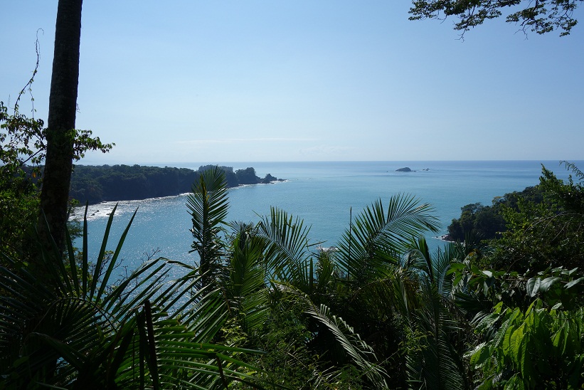 Regnskogen i Parque Nacional Manuel Antonio, Costa Rica.