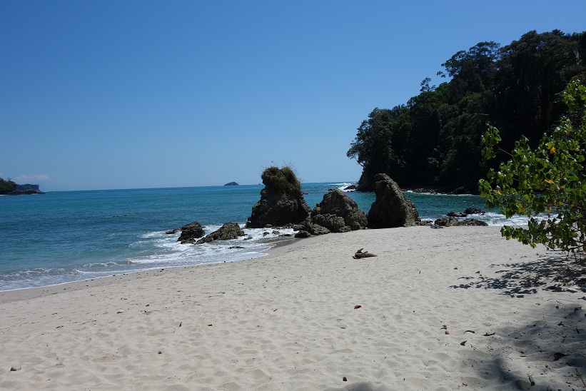 Vackra Manuel Antonio Beach, Costa Rica.