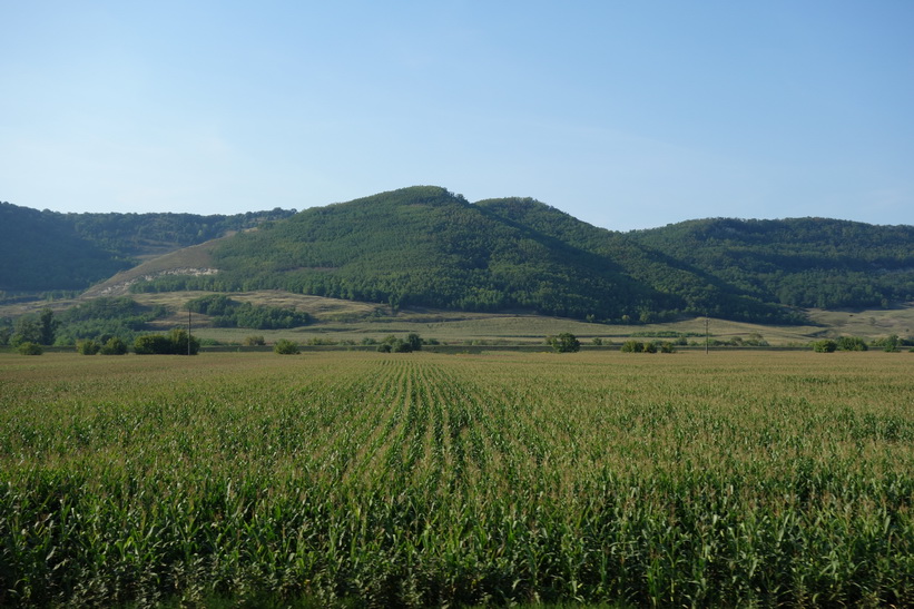 Tågresan mellan Sighișoara och Sibiu.