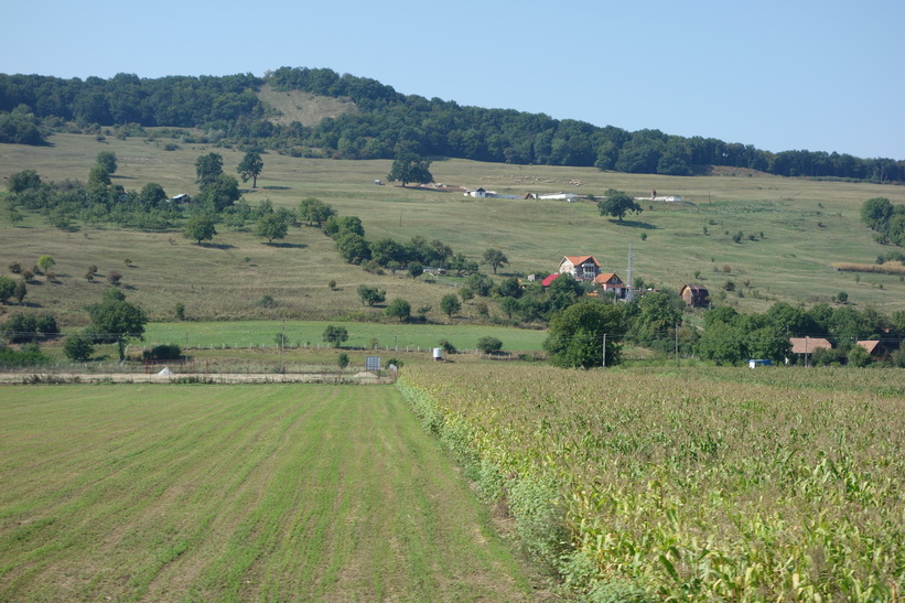 Tågresan mellan Sighișoara och Sibiu.