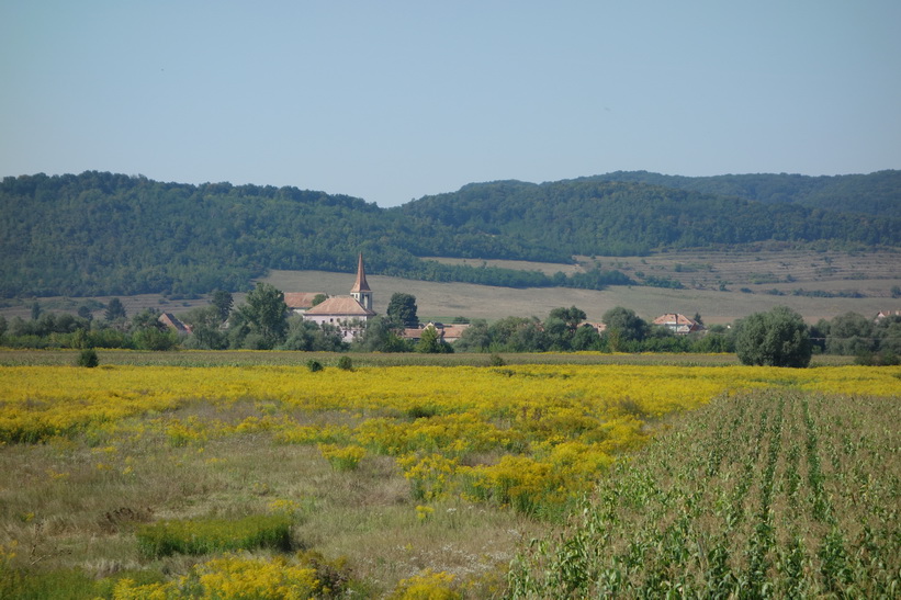 Tågresan mellan Sighișoara och Sibiu.