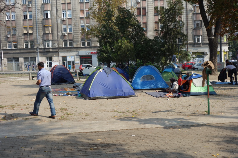 Flyktingar som tältar i parken vid busstationen i Belgrad.