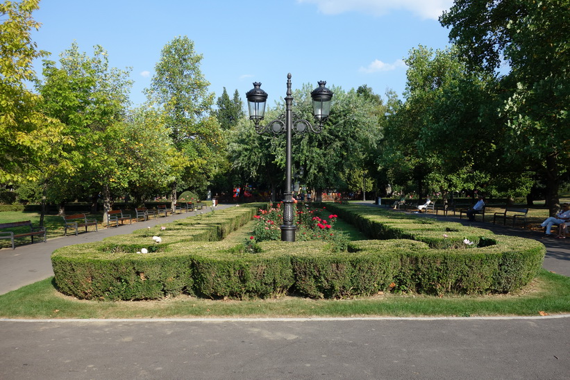 Parcul central, Brașov.