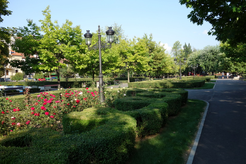 Parcul central, Brașov.