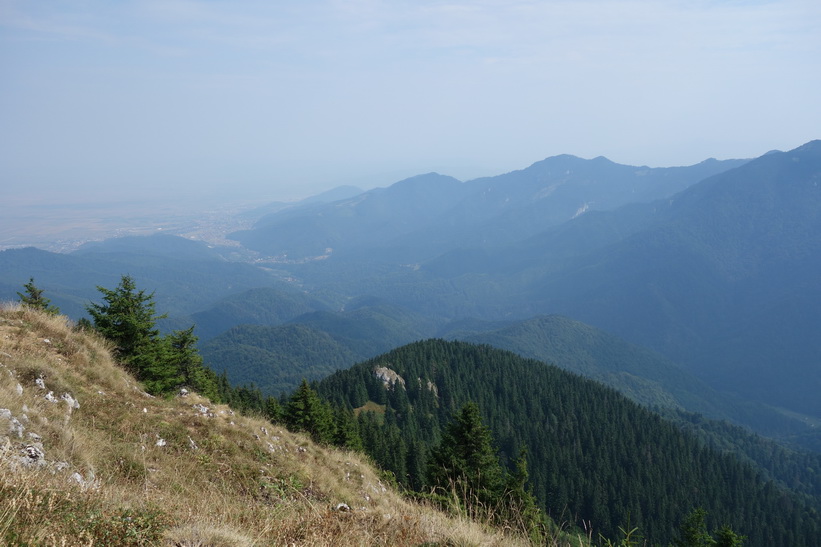 Mount Postăvarul.