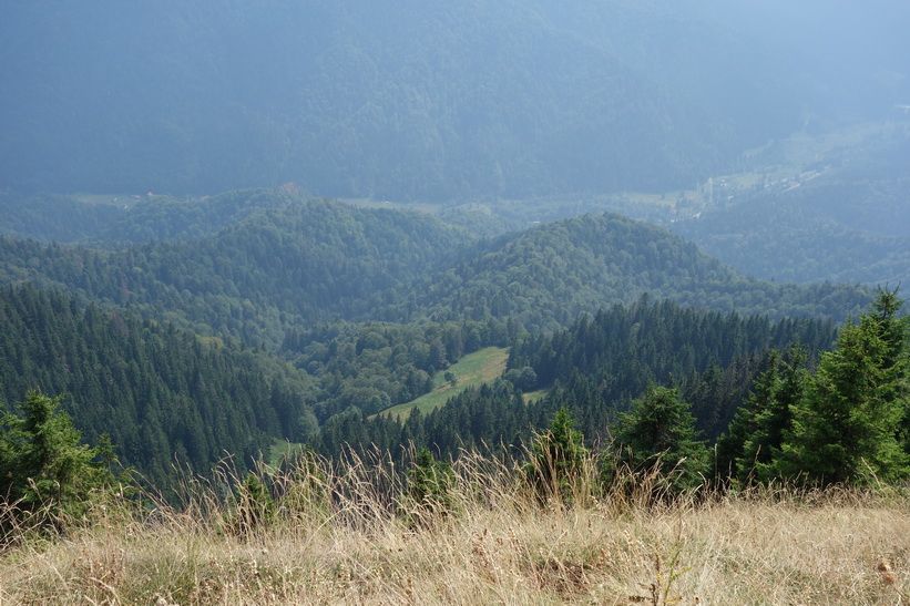 Mount Postăvarul.