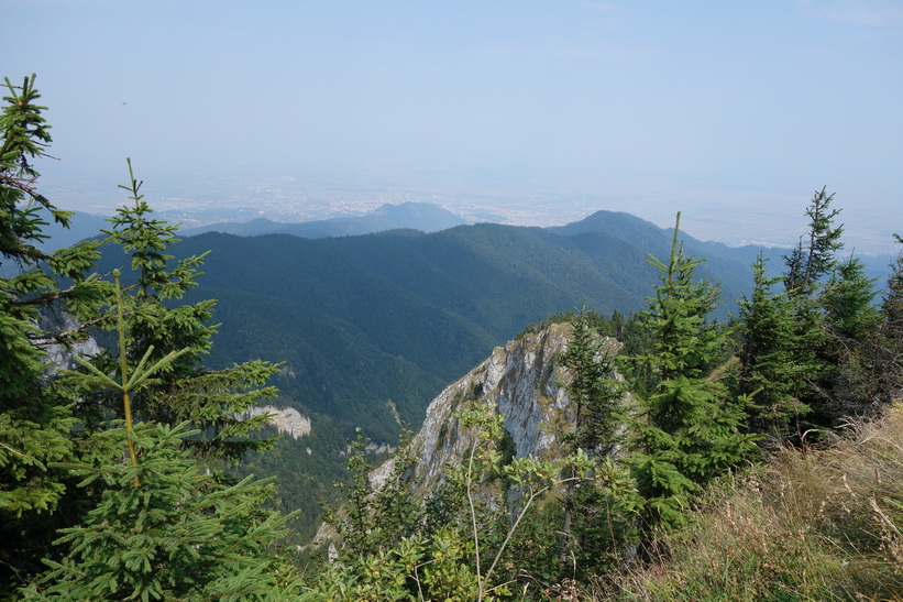 Mount Postăvarul.