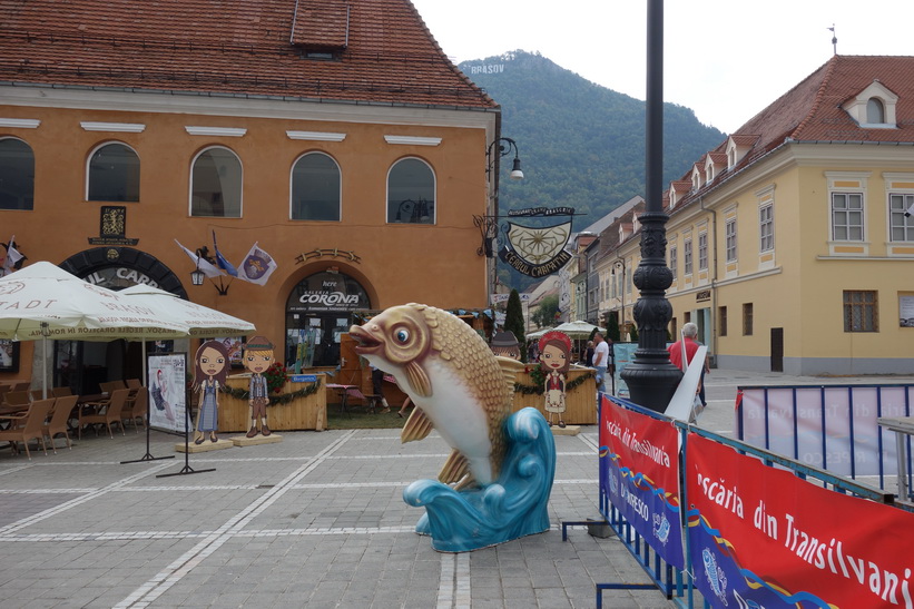 Festival i Brașov.