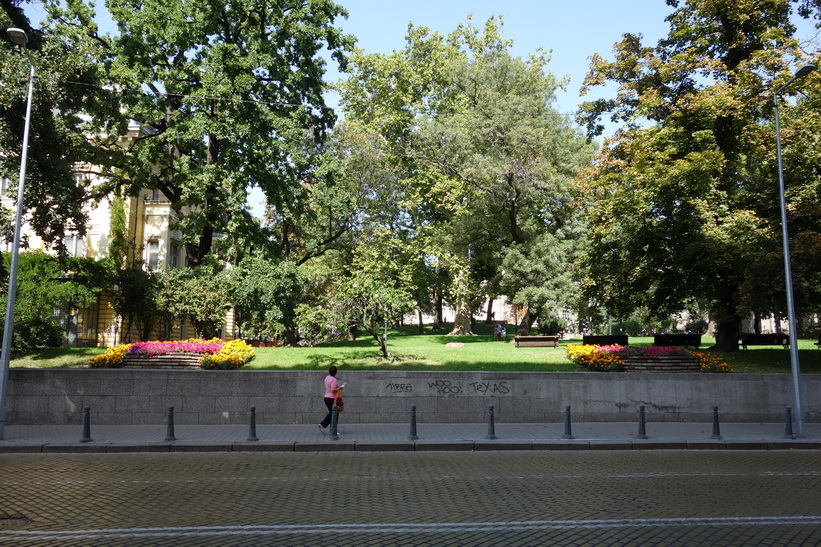 Grönområde vid gatan Tsar Osvoboditel, Sofia.