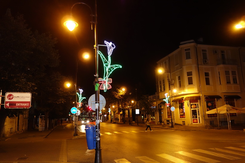 Blommor längs gatan på väg hem till hotellet, Varna.