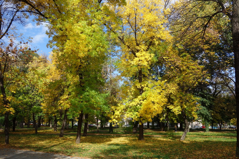 Stadsparken i centrala Bitola.