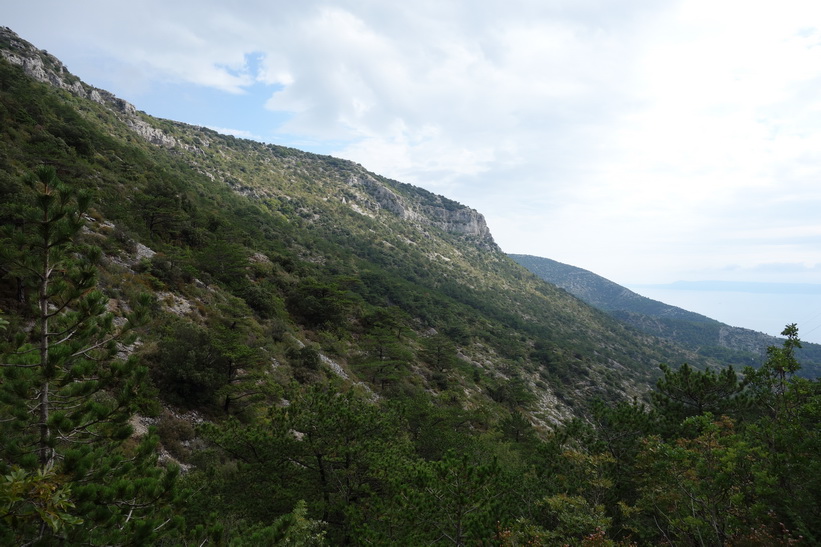 Den vackra naturen under vandringen upp till Vidova Gora.