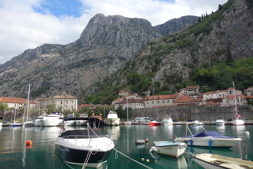 Hamnen i Kotor.