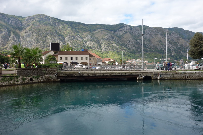 Del av stadsdelen Skaljari och hamnen i Kotor.