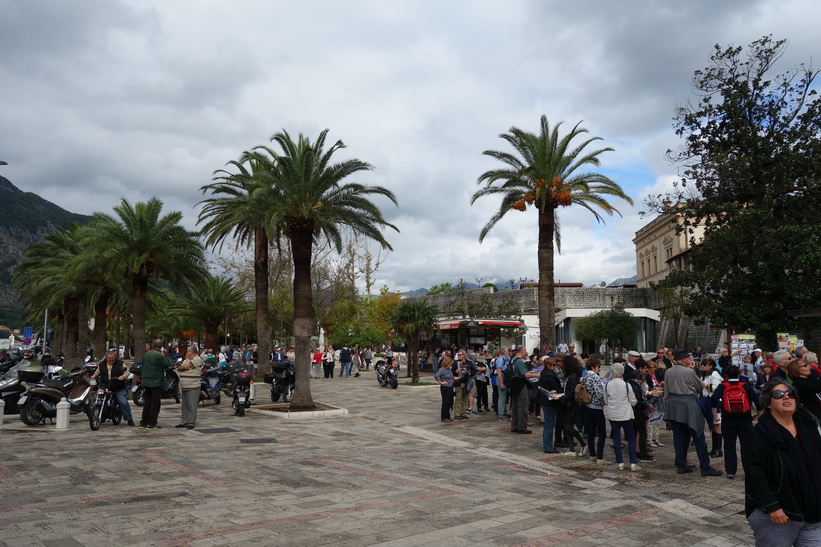 Turister utanför gamla staden i Kotor.