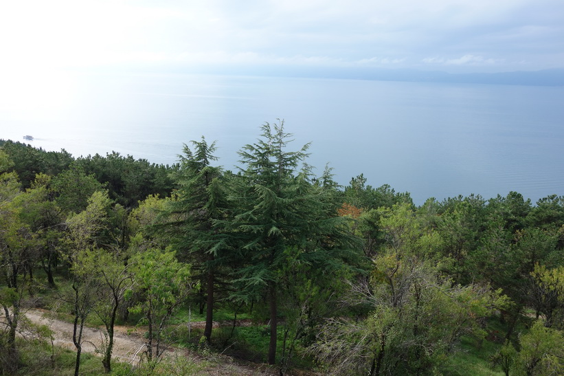 Utsikten över Lake Ohrid från Tsar Samuels fästning, Ohrid.