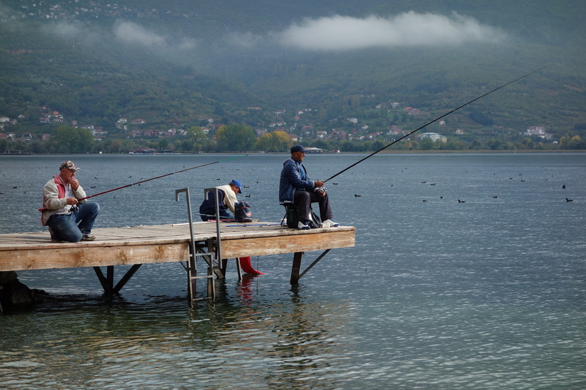 Gubbarna fiskar vid Lake Ohrid.