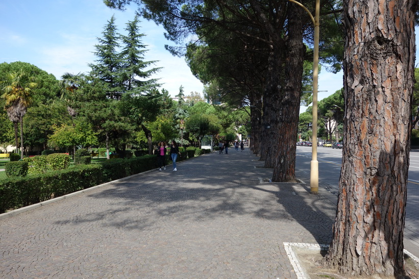 Parken vid Dëshmorët e Kombit Boulevard, Tirana.