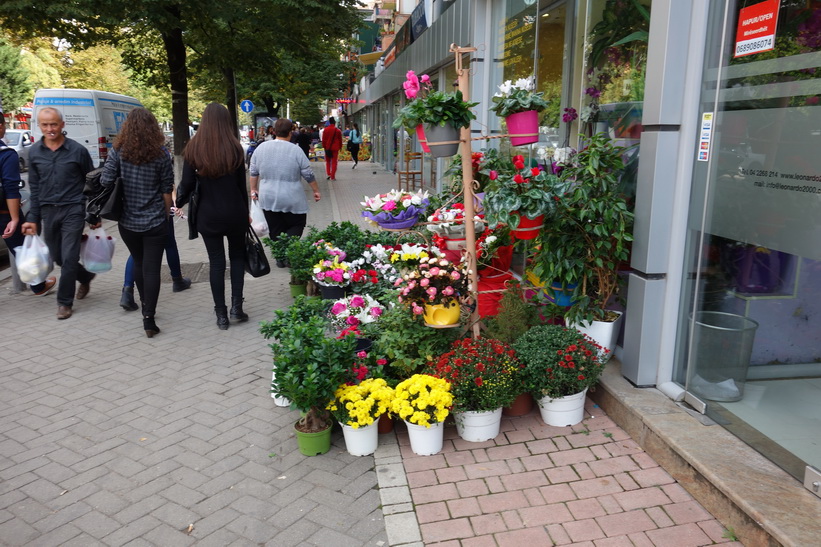 Försäljning av blommor i centrala Tirana.