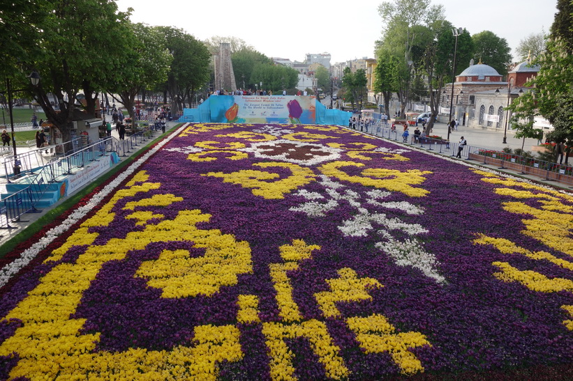 Världens största tulpanbädd i Sultanahmet, Istanbul.