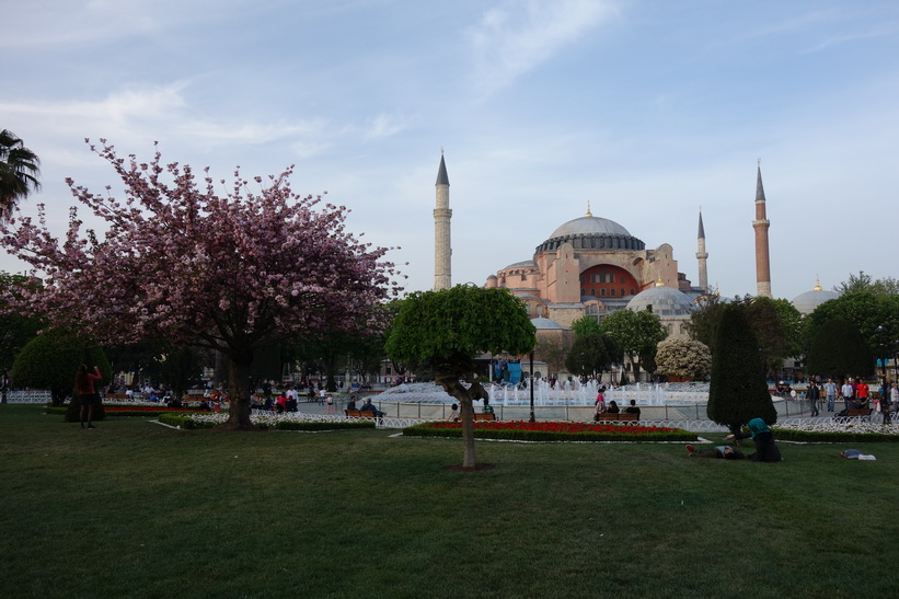 Världsberömda Hagia Sophia, Sultanahmet, Istanbul.