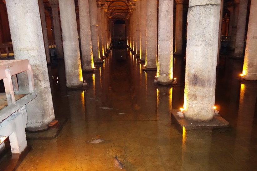 Fiskar i vattnet inne i Basilikacisternen i Sultanahmet, Istanbul.