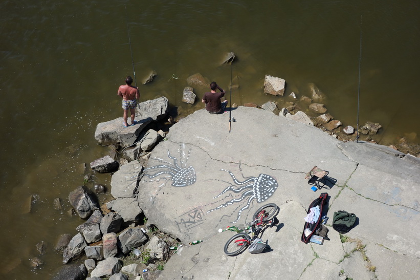 Fiske i floden Vistula nedanför Śląsko-Dąbrowski-bron, Warszawa.