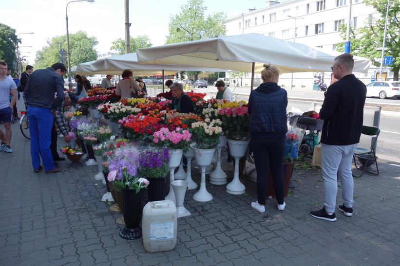 Blommor till salu på Plac Wilsona, Warszawa.