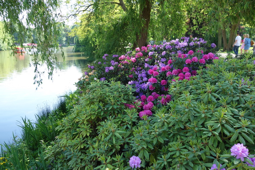 Łazienki Park, Warszawa.