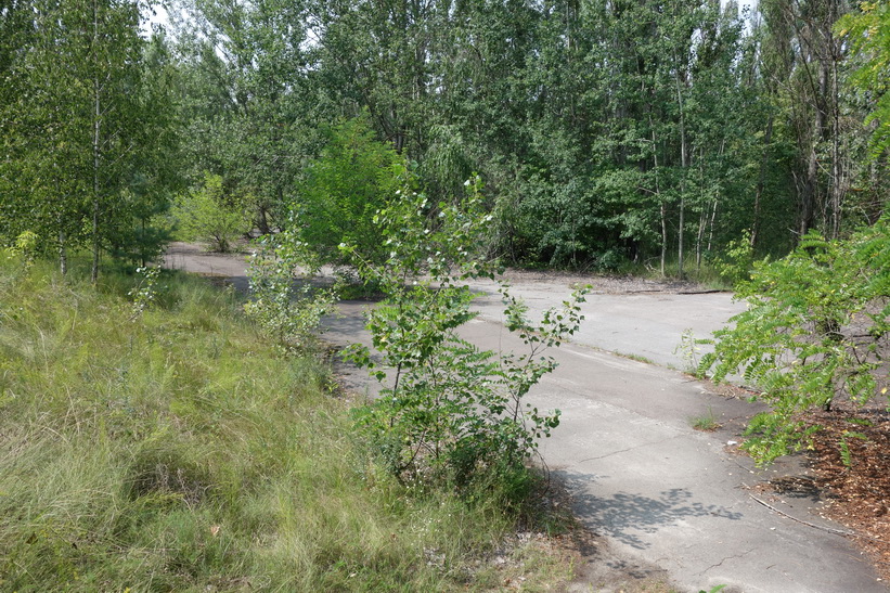 Del av löparbanan som omgav stadens fotbollsarena, Pripyat.
