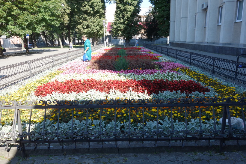Blomrabatt med underbara dofter längs gatan Levytskoho vid min lägenhet, Lviv.