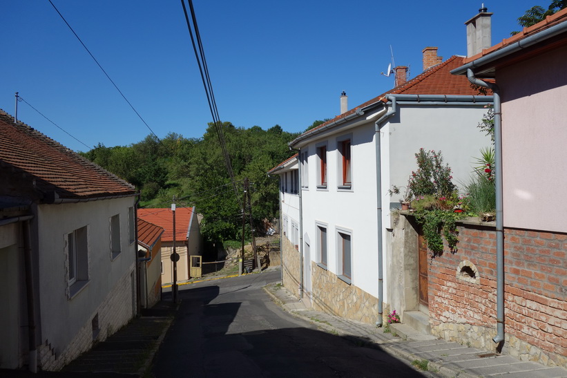 Promenaden upp till Pécs TV-torn.