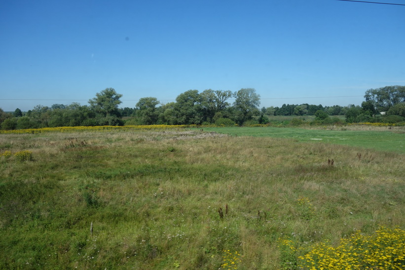 Naturen alldeles utanför Lviv. Fortfarande platt landskap. Tågresan mellan Lviv och Uzhhorod.