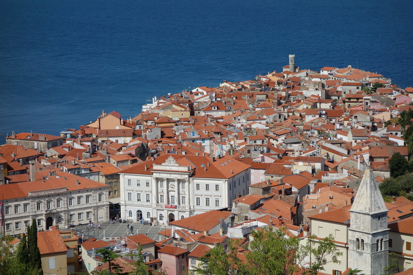 Piran från stadsmuren.