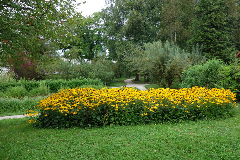 Botaniska trädgården, Ljubljana.