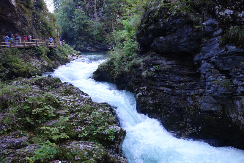 Vintgar Gorge.