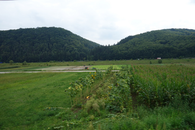 Någonstans ute på den slovenska landsbygden.