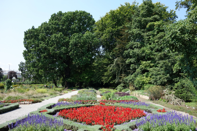 Botaniska trädgården i Zagreb.