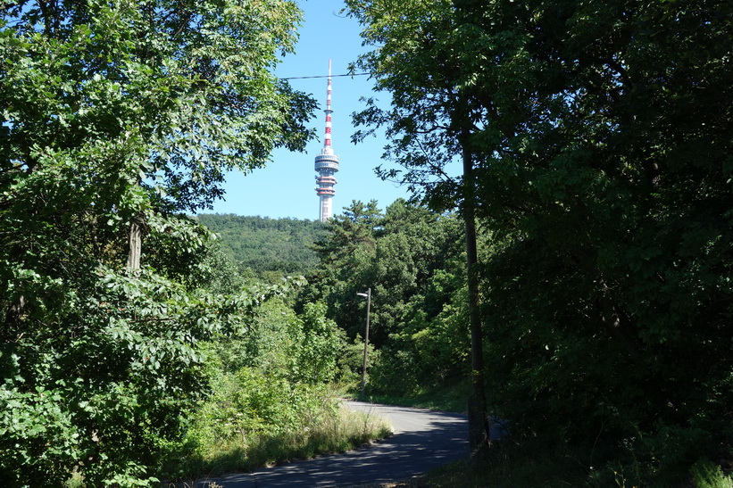 Den första skymten av TV-tornet genom skogen. Promenaden upp till Pécs TV-torn.