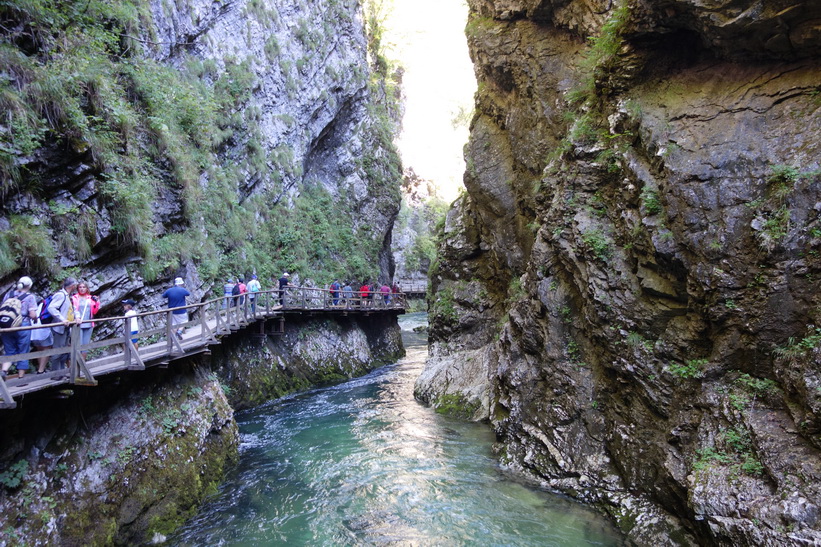 Vintgar Gorge.