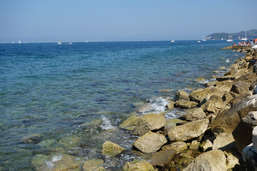 Adriatiska havet vid gamla staden i Piran.