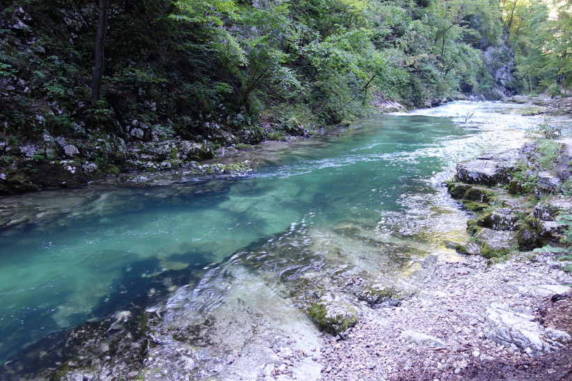 Vintgar Gorge.