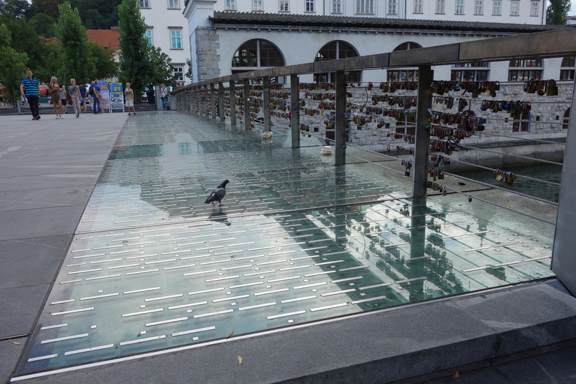 Kärlekslås på Butchers Bridge, Ljubljana.