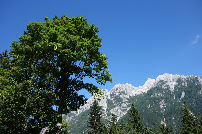 Cykelturen till Vršič Pass.