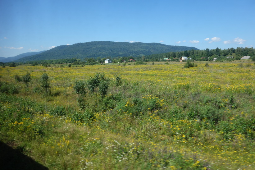 Vackert sommarlandskap som inte är helt olikt Sverige. Tågresan mellan Lviv och Uzhhorod.