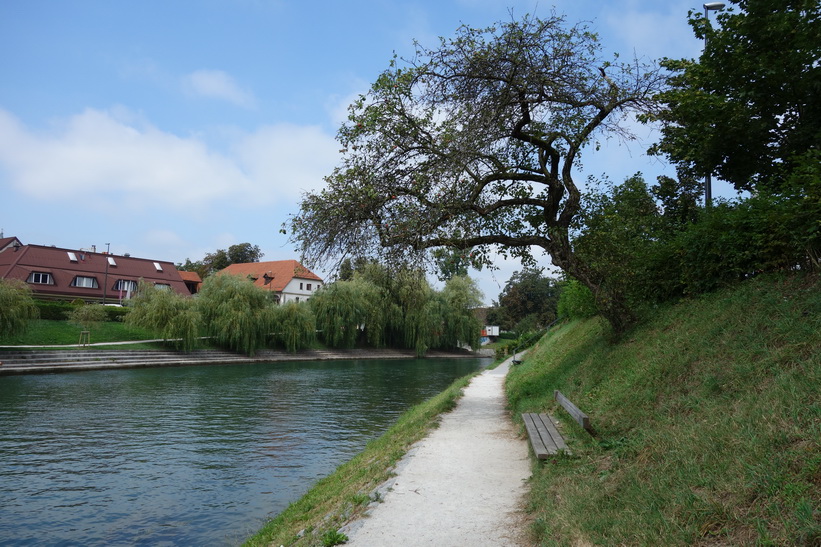 Floden Ljubljanica i centrala Ljubljana.