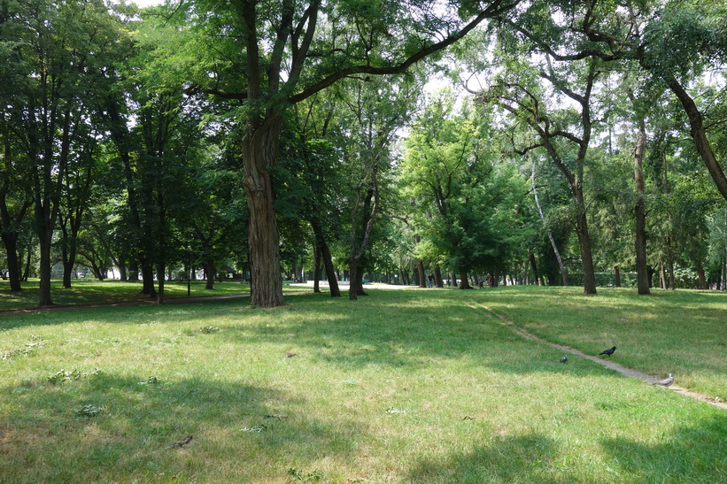 Park i Tjernihiv.