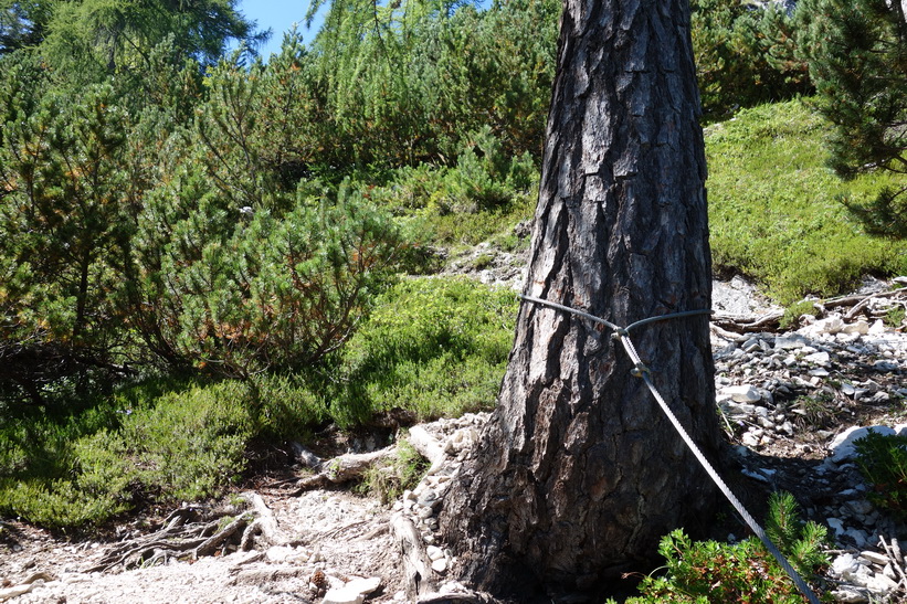 Längs sträckan mellan Vitranc och Ciprnik. Vandringen från Kranjska Gora upp till Ciprnik.