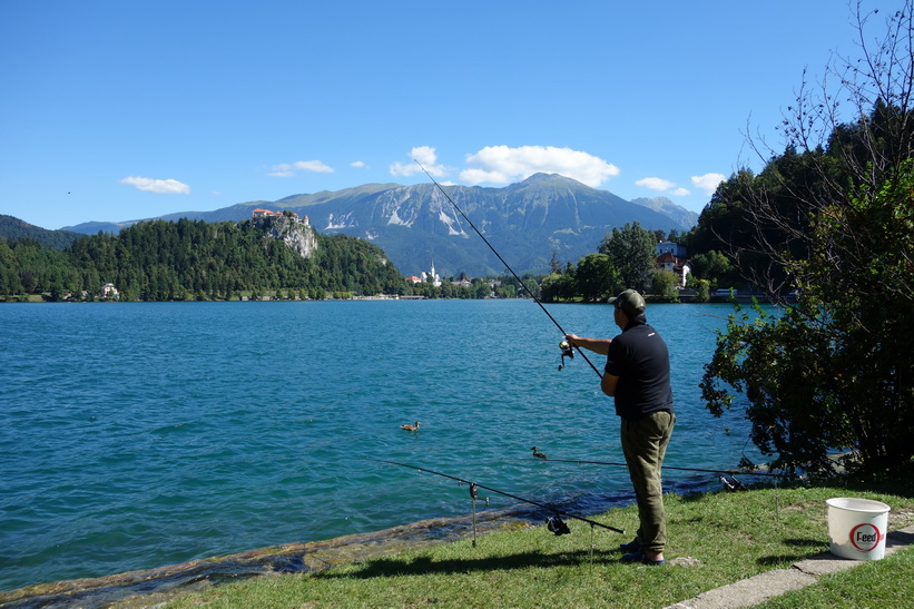 Spöfiske i Lake Bled, Bled.